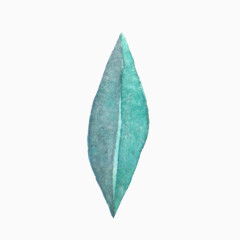 卡通精美五彩绿叶