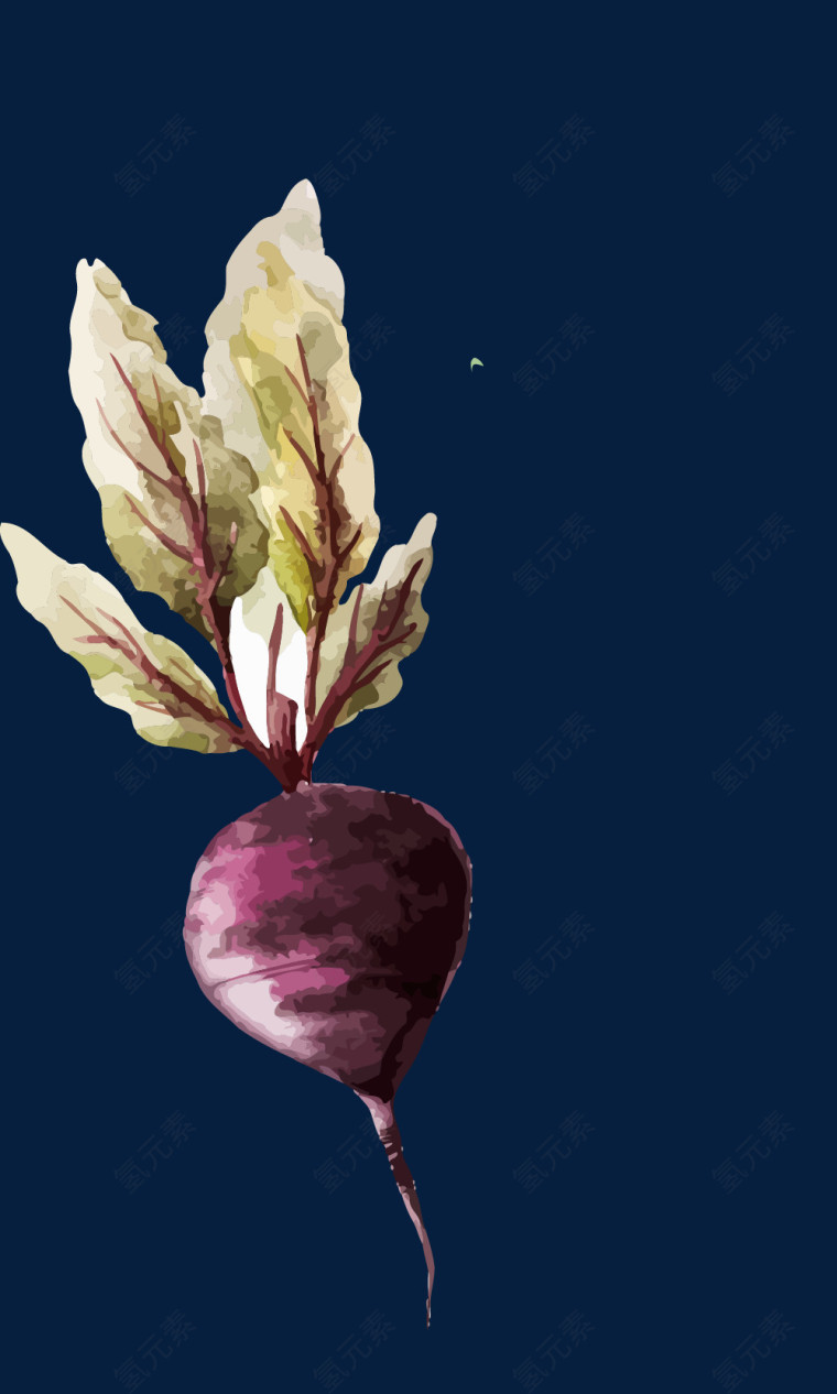 新鲜蔬菜