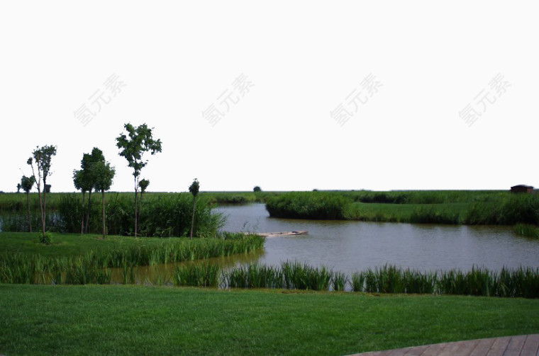 天津七里海湿地风景