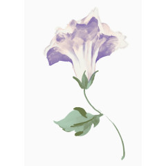水彩紫色花