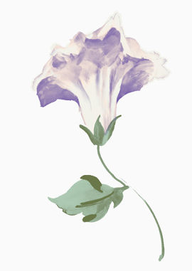 水彩紫色花