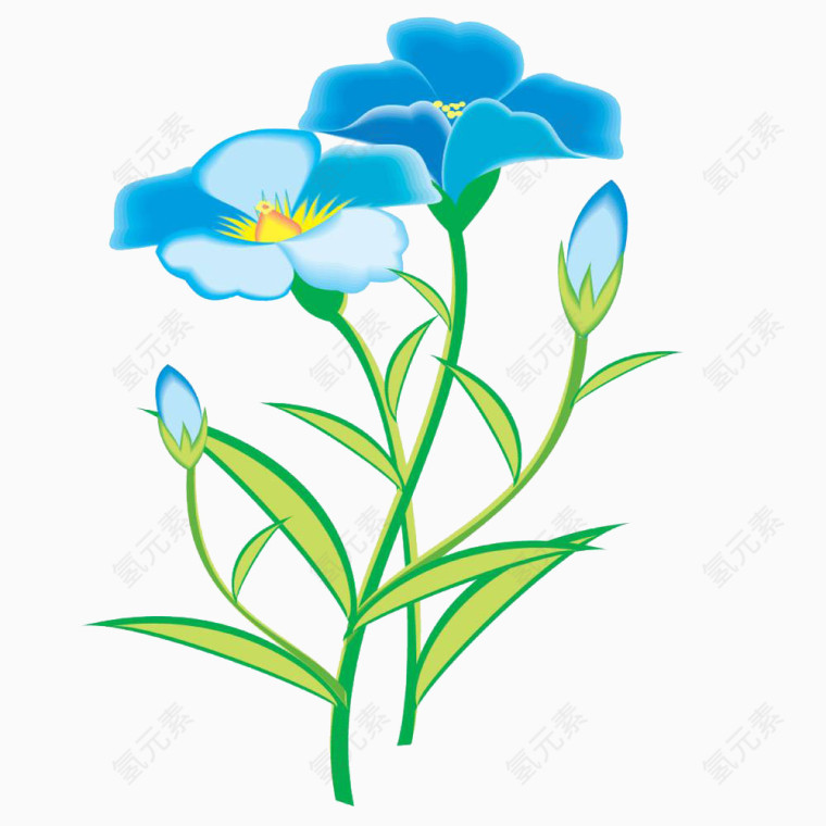 精美花卉