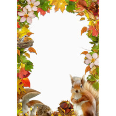 卡通花卉植物小鸟松鼠动物边框装饰背景