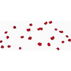 唯美创意玫瑰花瓣飘落