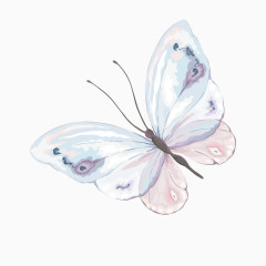 卡通手绘蝴蝶