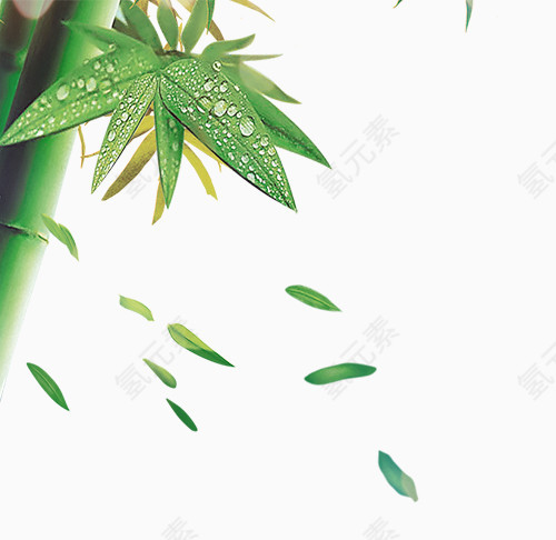 绿色竹子