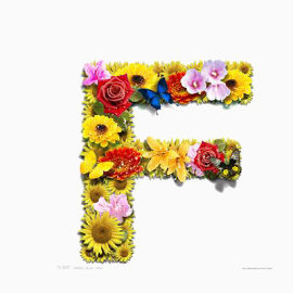 鲜花英文字母F