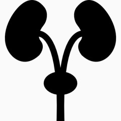 排泄系统的轮廓图标