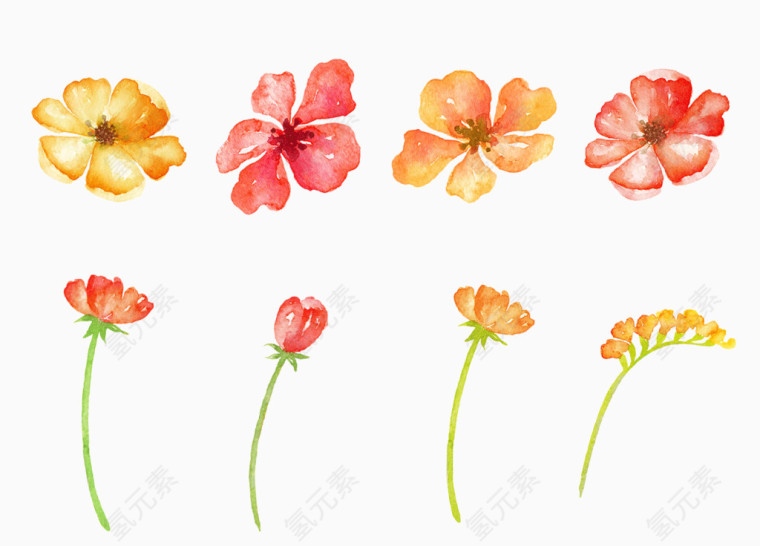 唯美手绘彩色花卉