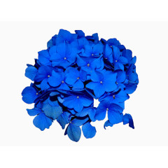 蓝色花卉装饰图案