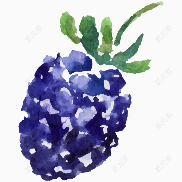 手绘水彩蓝色桑葚png