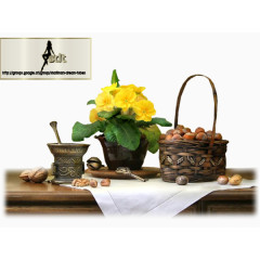 花卉ps素材花草矢量素材