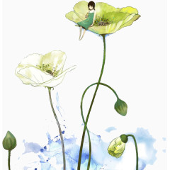 女孩的荷花荷叶