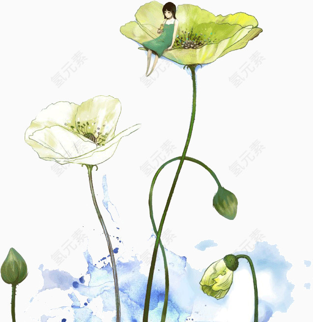 女孩的荷花荷叶