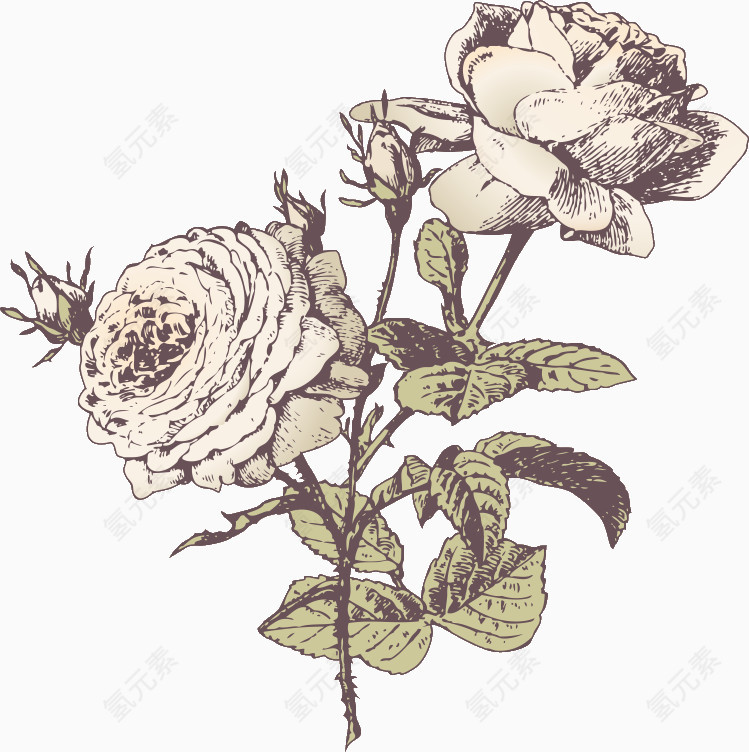 手绘风油画风水彩风莲花