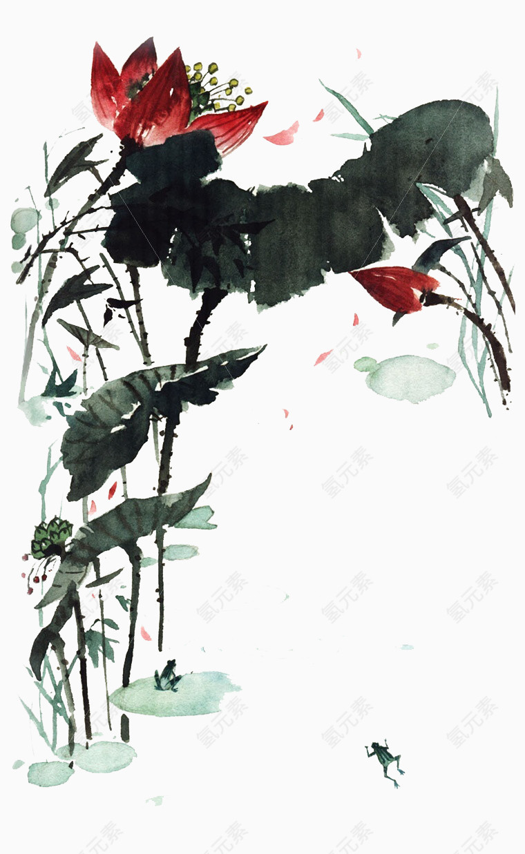 水彩荷花