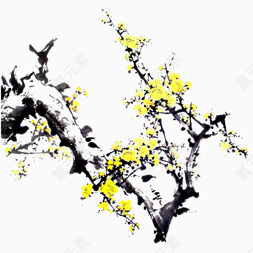 黄色腊梅花