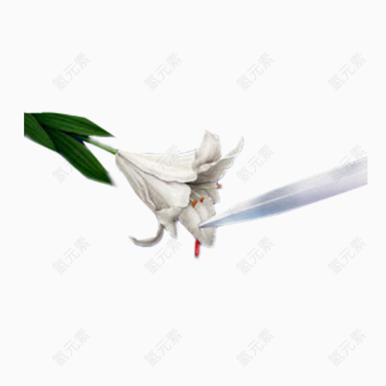 美丽百合矢量图