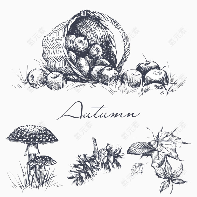 一篮子水果素描