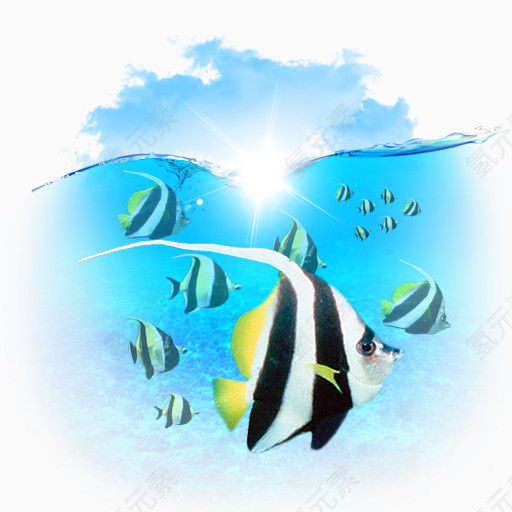 动物鱼my-seven-icons