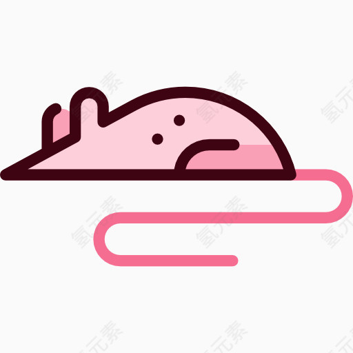 科学研究学习系列全套彩色图标老鼠