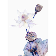 水墨中国风中秋莲蓬水墨中国风