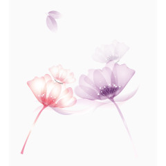 梦幻手绘花装饰