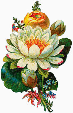 手绘花素材森林系元素  唯美花束花枝