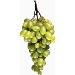 手绘食物手绘食物图片