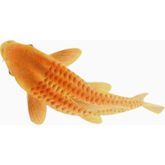 黄色花纹金鱼装饰