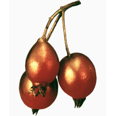 装饰元素水果树