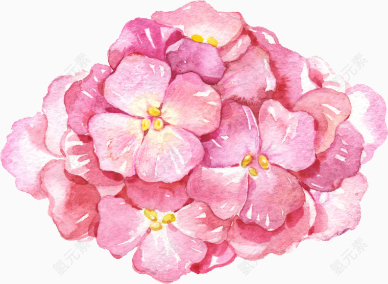 花卉素材png