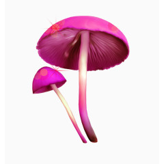 毒蘑菇装饰素材