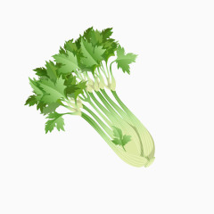 卡通手绘绿色蔬菜芹菜