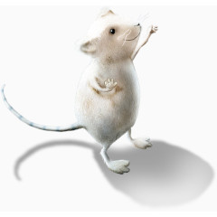 卡通可爱老鼠