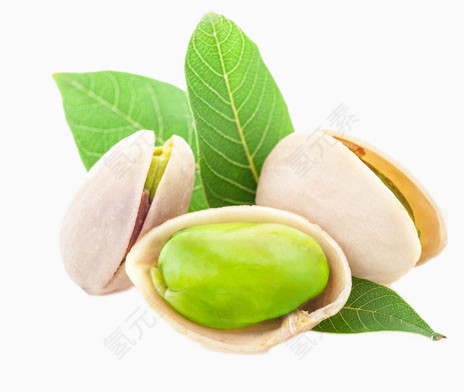 卡通手绘开心果