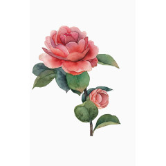 手绘水彩花朵绿叶