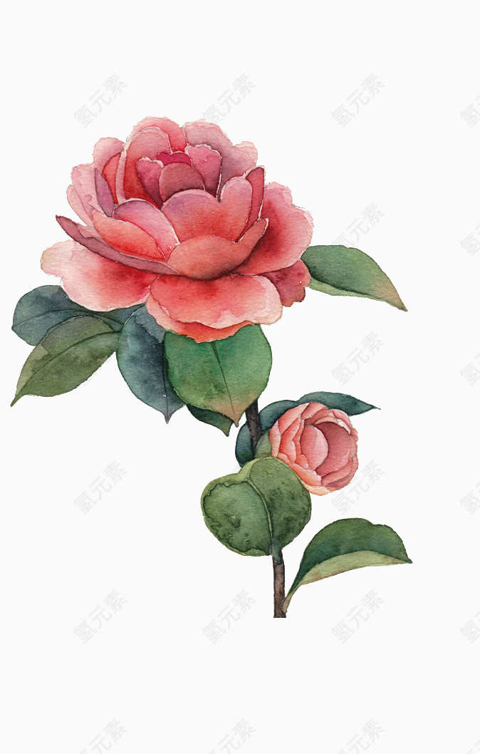 手绘水彩花朵绿叶