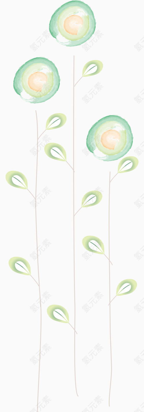 绿色植物