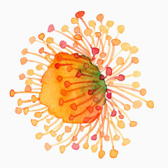 卡通手绘五彩花卉