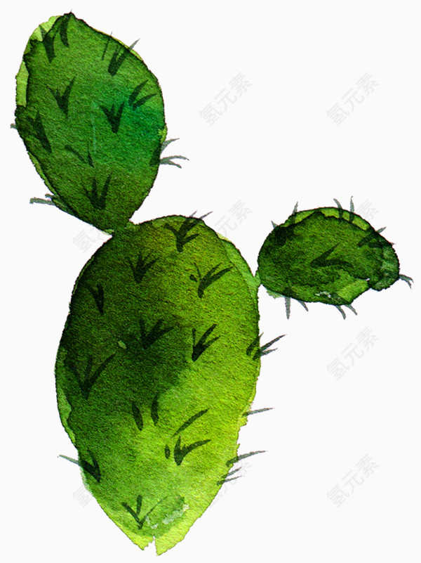 卡通手绘绿色植物仙人掌