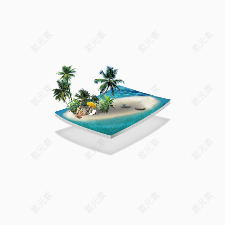海边的椰子树