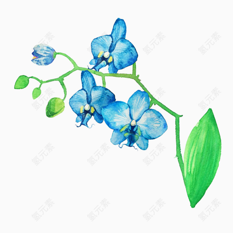 花簇