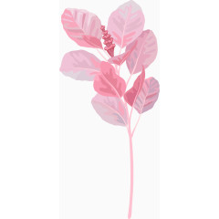 水粉画粉色花叶