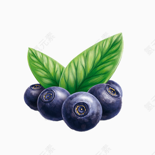 蓝莓