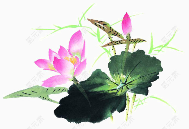 泼墨莲花