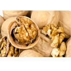 薄皮核桃仁特写