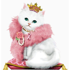 白富美的美白猫咪