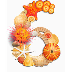 沙滩贝壳组合数字6