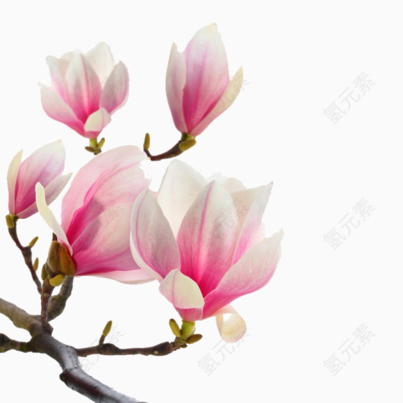 古风配饰素描手绘古风装饰